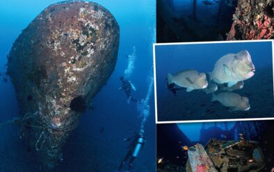 Above, clockwise from left Stern of the Kubu wreck; one of Liberty’s big holds makes a fine swim-through; bumphead parrotfish; a car in the main hold in the Kubu wreck.