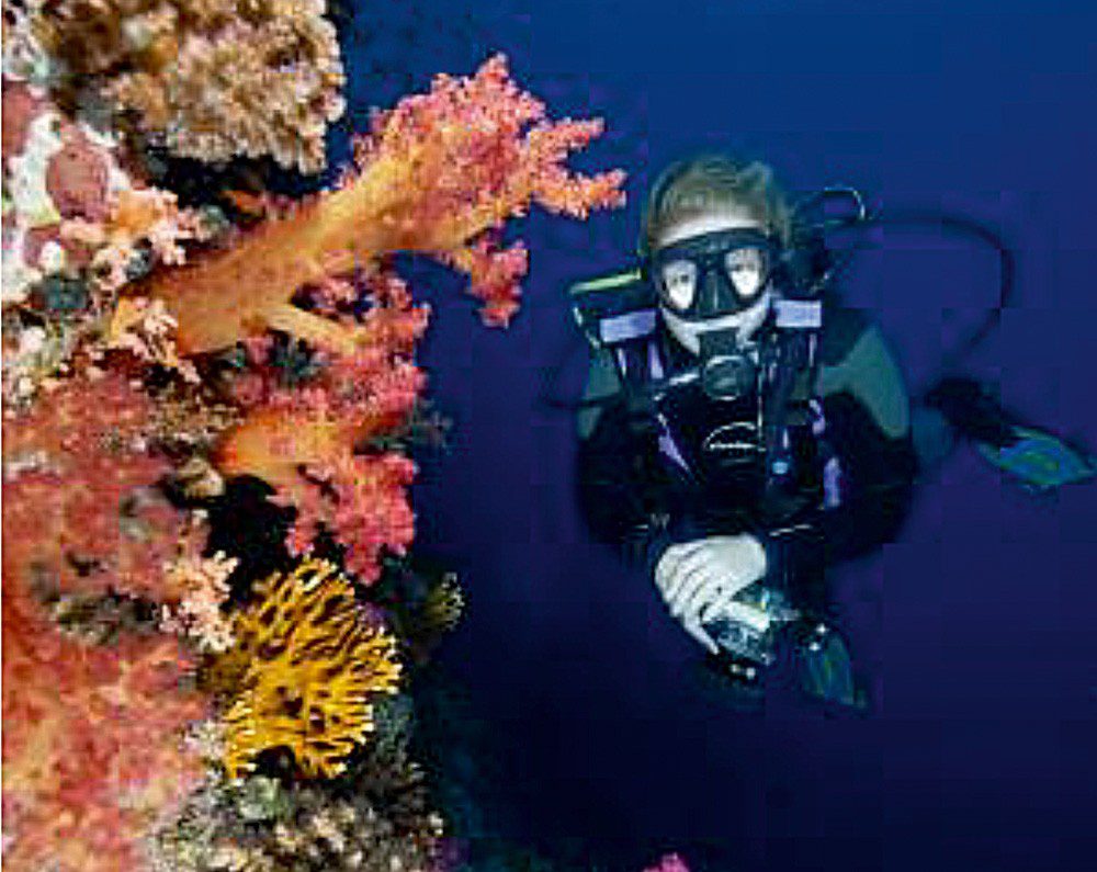 Sharm Diver