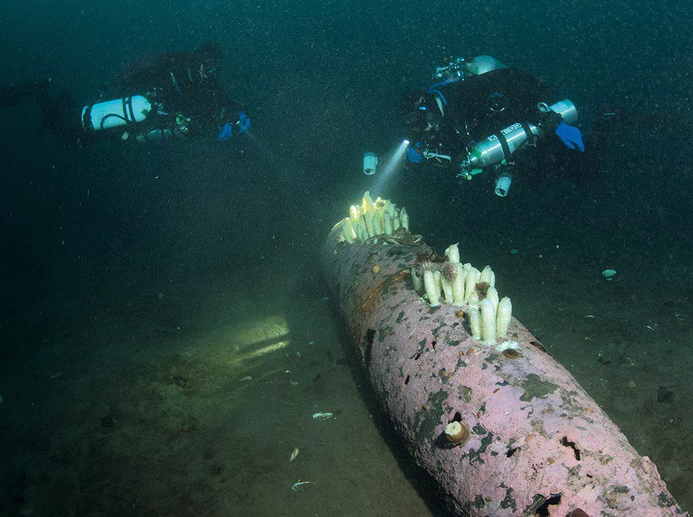 A torpedo lies at 46m off the Rose Castle. Much of the unexploded munitions around the wrecks was cleared this summer, after Claire’s visit.