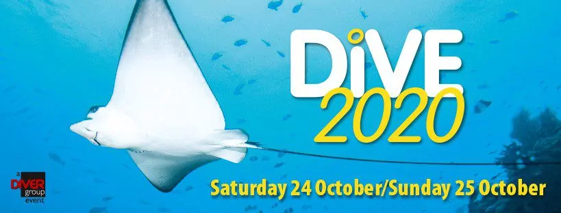 DIVE 2020 Facebook vāka foto darbvirsma