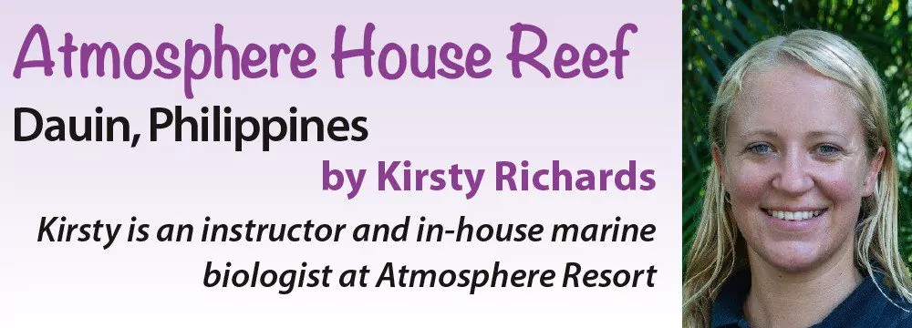 Atmosphere House Reef - Dauin, Φιλιππίνες από την Kirsty Richards - Η Kirsty είναι εκπαιδευτής και εσωτερική θαλάσσια βιολόγος στο Atmosphere Resort