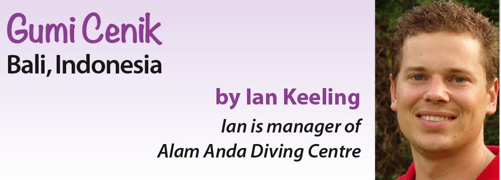 Gumi Cenik – Bali, Indonesien von Ian Keeling – Ian ist Manager des Alam Anda Diving Center