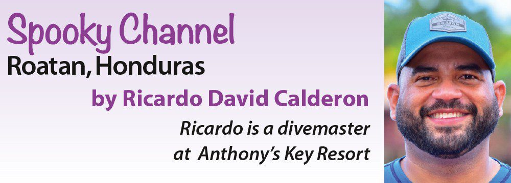 Spooky Channel - Roatan, Honduras by Ricardo David Calderon - Ricardo is a divemaster at Anthony's Key Resort