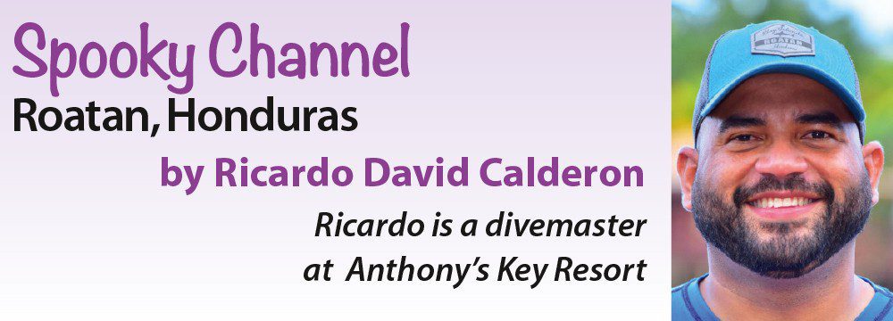 Saluran Spooky - Roatan, Honduras oleh Ricardo David Calderon - Ricardo ialah seorang juruselam di Anthony's Key Resort