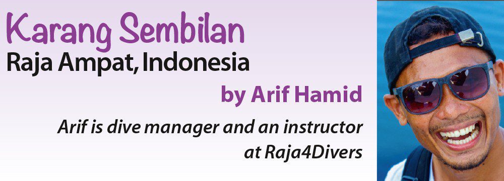 Karang Sembilan - Raja Ampat, Indonesia oleh Arif Hamid - Arif adalah manajer selam dan instruktur di Raja4Divers