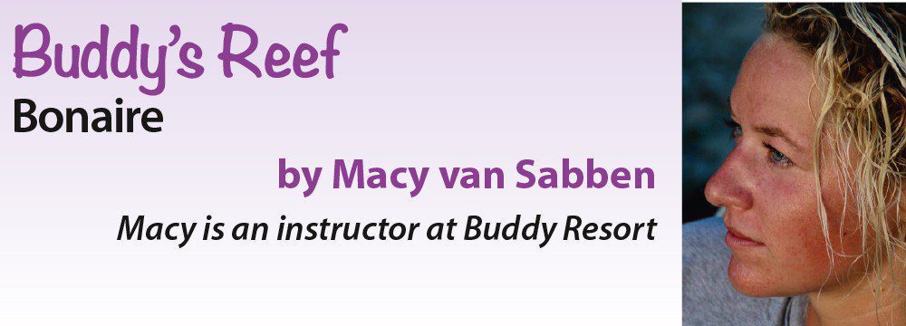 Buddy's Reef - Bonaire by Macy van Sabben - Macy is an instructor at Buddy Resort