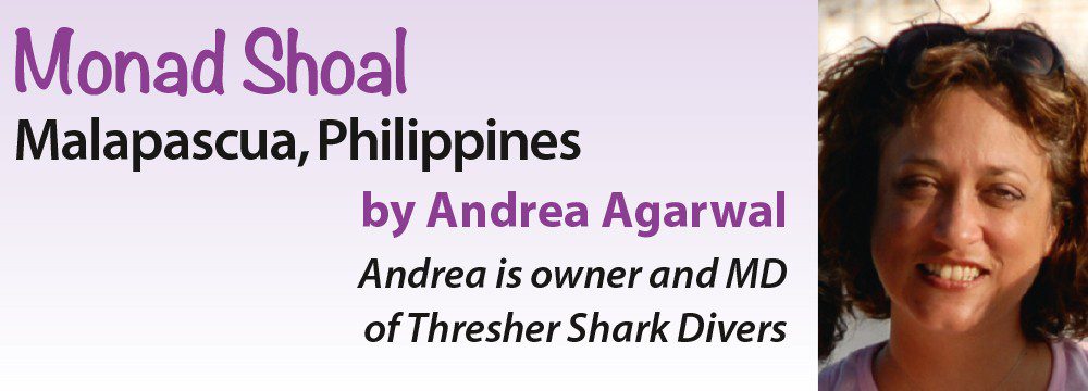 Monad Shoal – Malapascua, Philippinen von Andrea Agarwal – Andrea ist Geschäftsführerin von Threshark Shark Divers