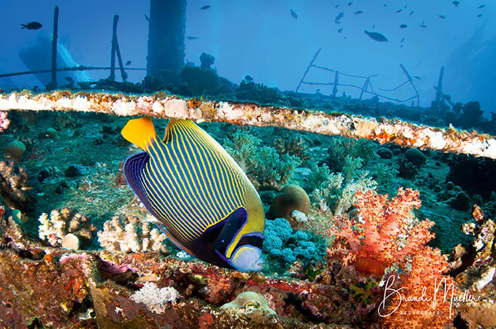 0620 Aħbarijiet tal-ivvjaġġar brandiunderwater