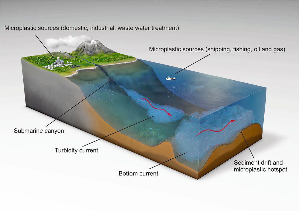 Microplastics Ian Kane