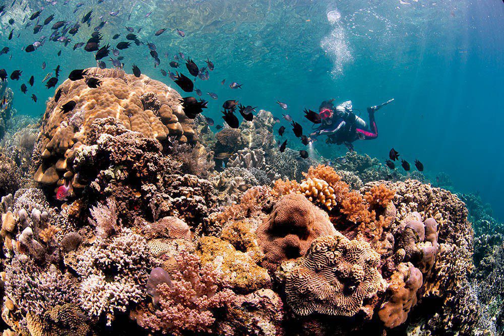 DAN BURTON Photographs Bunaken using Wide-Angle