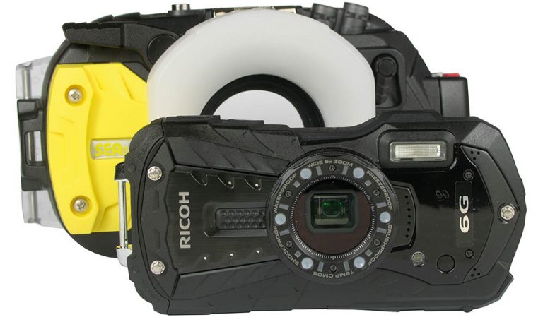Teste e revisão da câmera e caixa Sea & Sea DX-6G