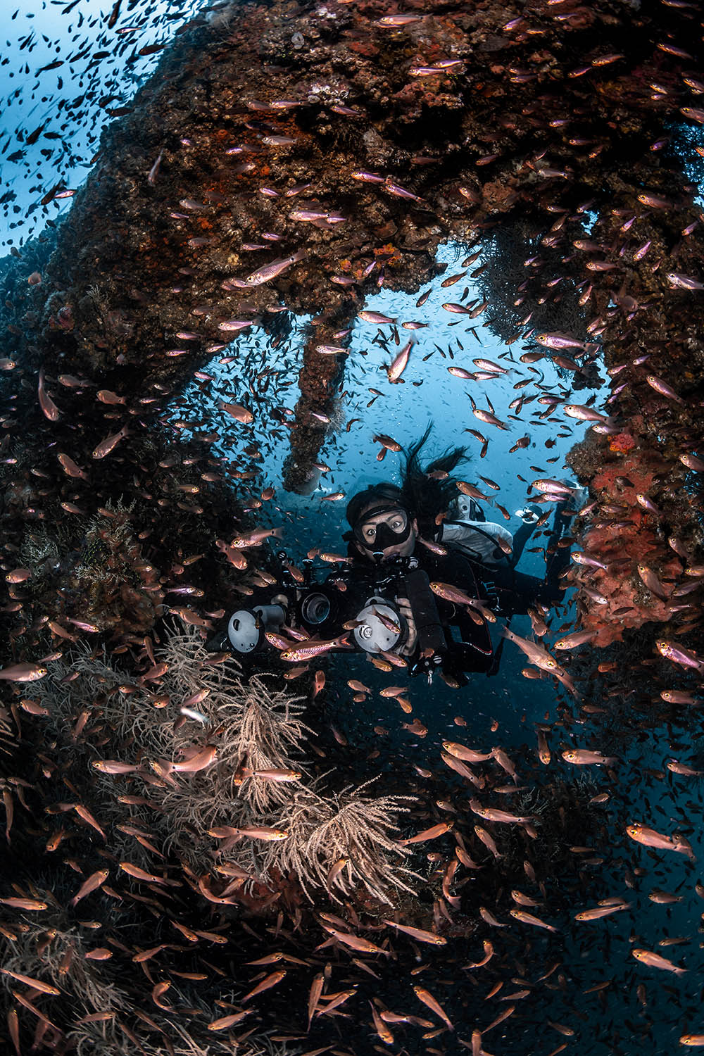 0120 Malapascua cardinalfish