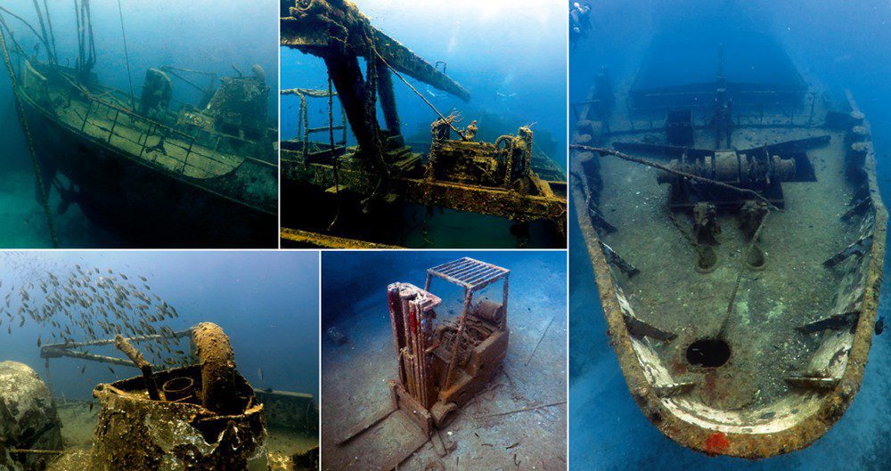 Clockwise from top left: Uplifted stern of new wreck the Vicky B; crane; bow; forklift in the hold; brown chromis over the stern deck.