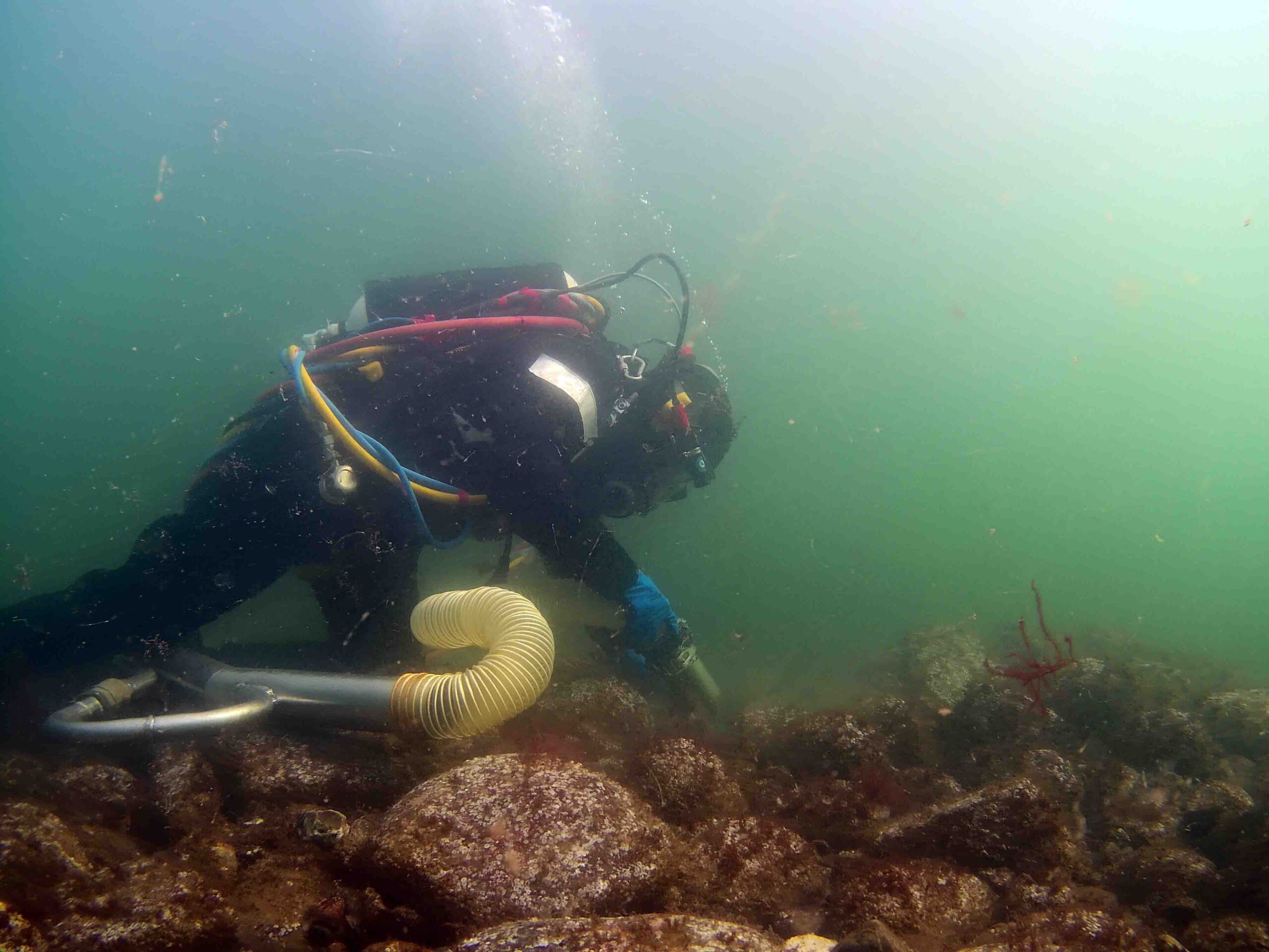 Marine archaeologist Klara Fiedler MJ scaled