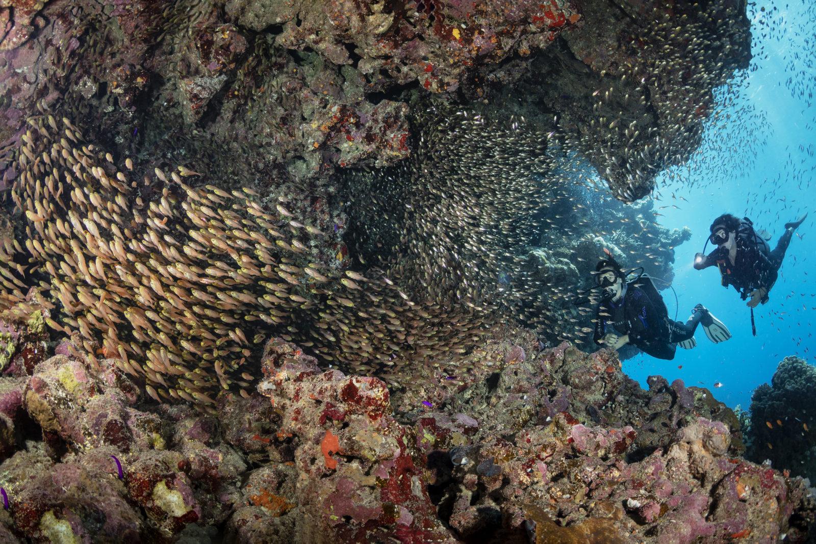 Protect your ass(ets)