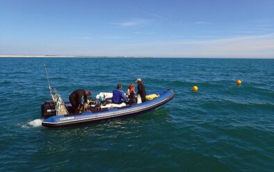 On some days conditions are ideal for diving.