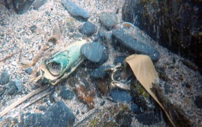 Guns in the gully 6 The sight of artefacts that originally drew the divers to the gully.