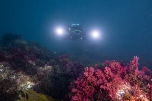 Parked at Cabo Espichel.