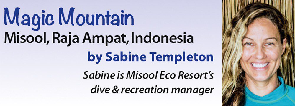 Magic Mountain - Misool, Raja Ampat, Indonesia by Sabine Templeton - Sabine is Misool Eco Resort's dive & recreation manager