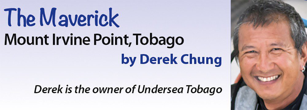 The Maverick - Mount Irvine Point, Tobago by Derek Chung - Derek is the owner of Undersea Tobago
