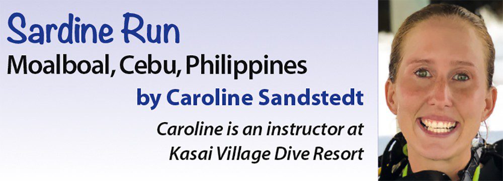 Sardine Run - Moalboal, Cebu, Philippines by Caroline Sandstedt - Caroline is an instructor at Kasai Village Dive Resort