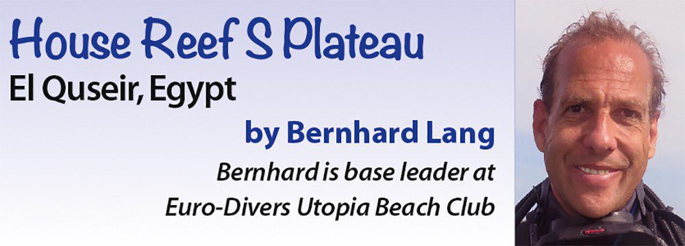 House Reef S Plateau - El Quseir, Egypt by Bernhard Lang - Bernhard is base leader at Euro-Diver Utopia Beach Club