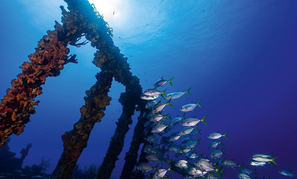 Wreck Dive με δύο τανκς στο RMS Rhone