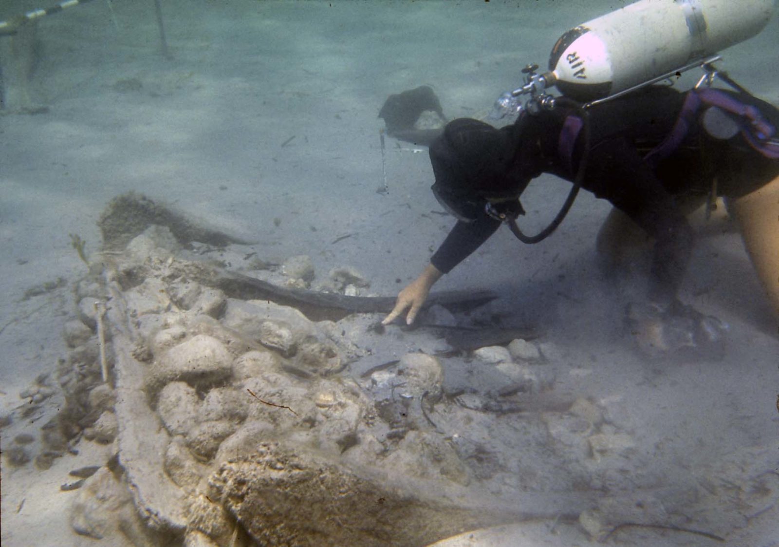 Honor Frost on Punic ship 1971