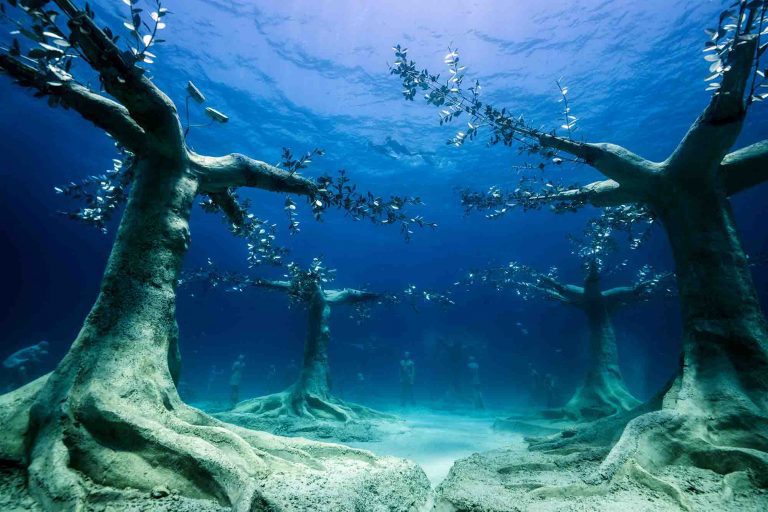 A well-populated forest is the latest underwater installation by eco-artist Jason deCaires Taylor