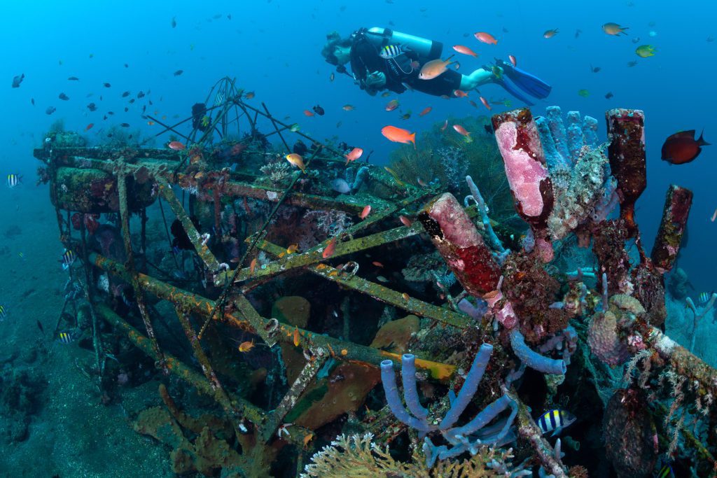 44 Siddhartha Diving House Reef