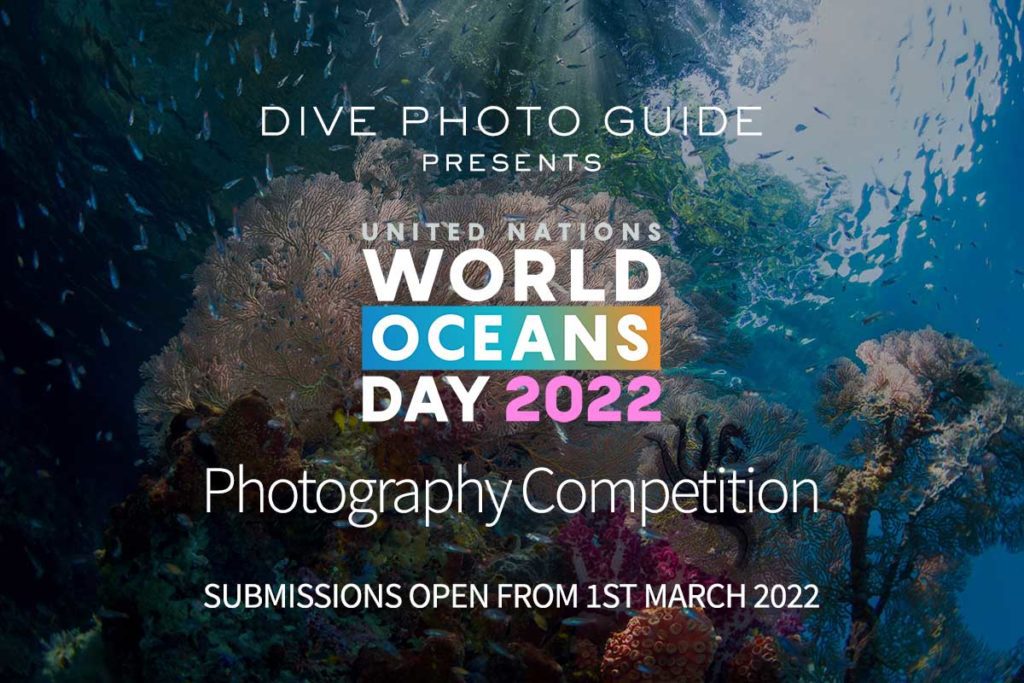 Ninth Annual UN World Oceans Day Photo Competition 2022. CREDIT: Kevin De Vree