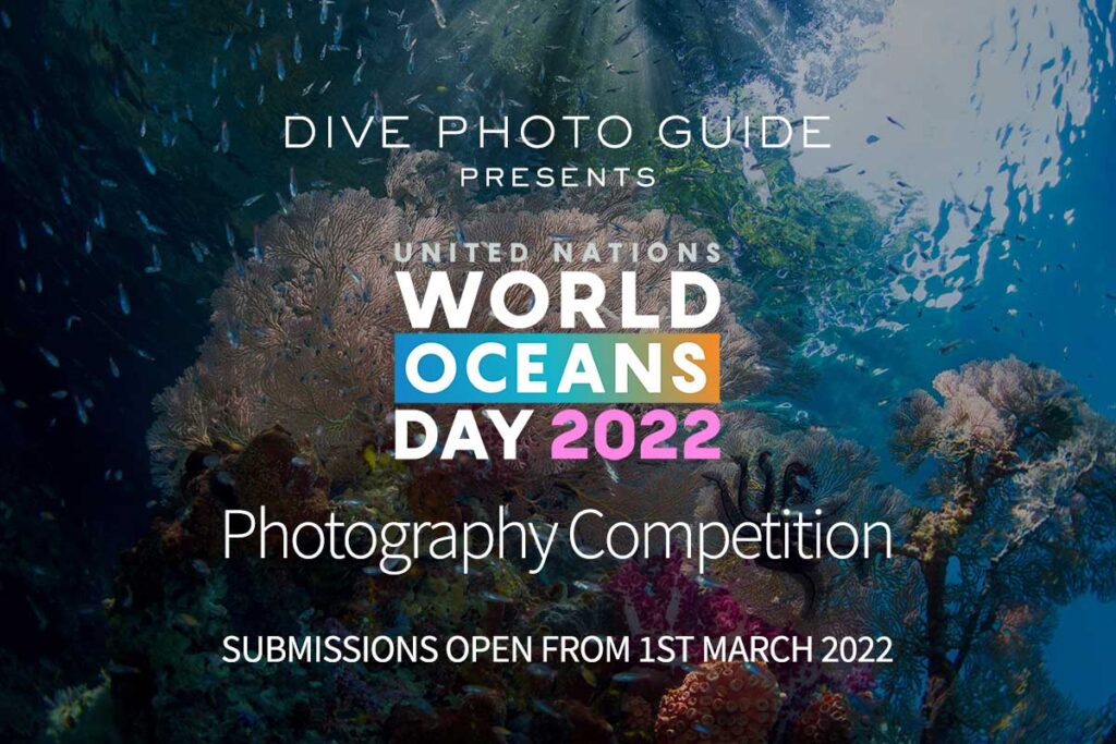 FN's niende årlige fotokonkurrence 2022 World Oceans Day. KREDIT: Kevin De Vree