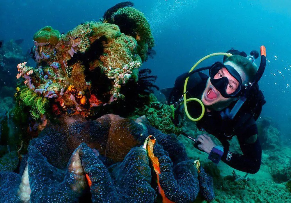 Retos nudibranchs su akvalangu Twin Rocks