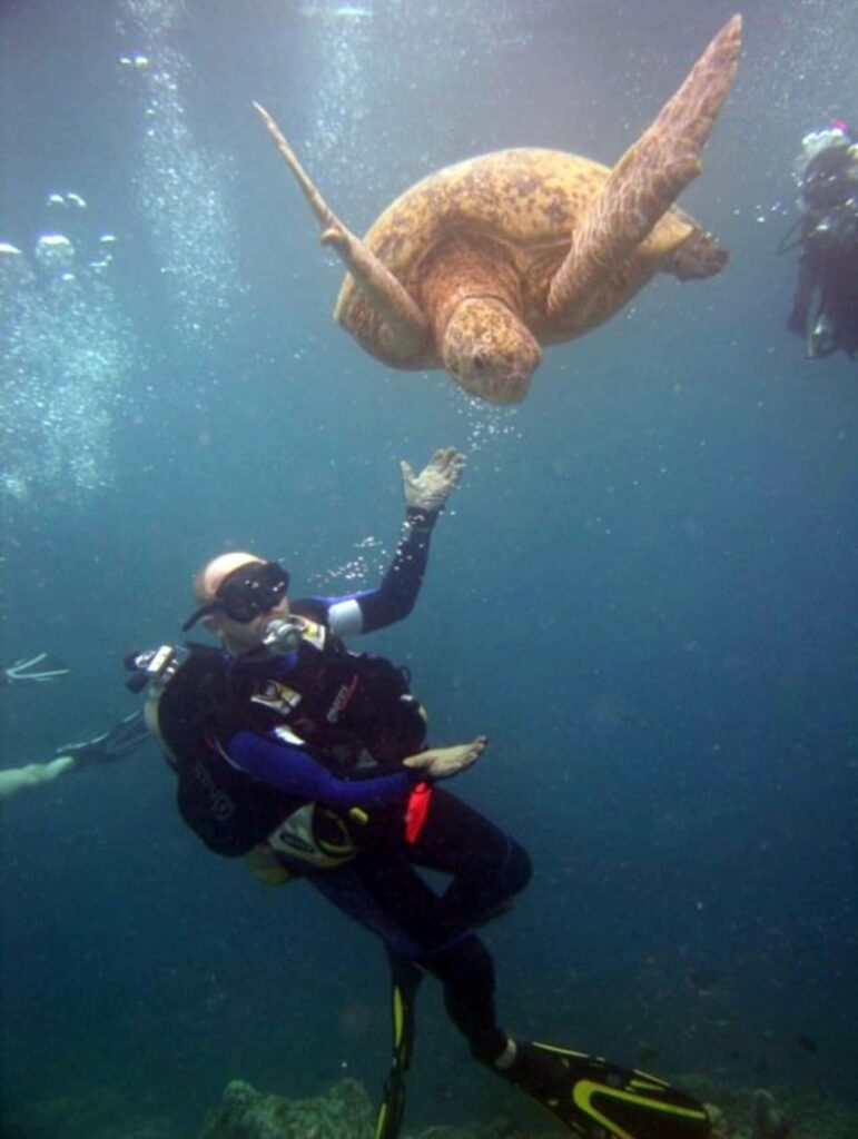 Reznikov with a turtle