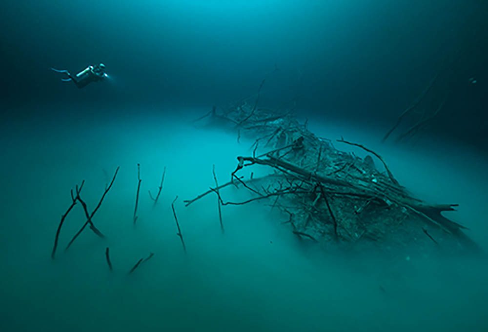 الغوص للوصول إلى طبقة كبريتيد الهيدروجين في Angelita Cenote