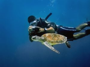 dive master with turtle