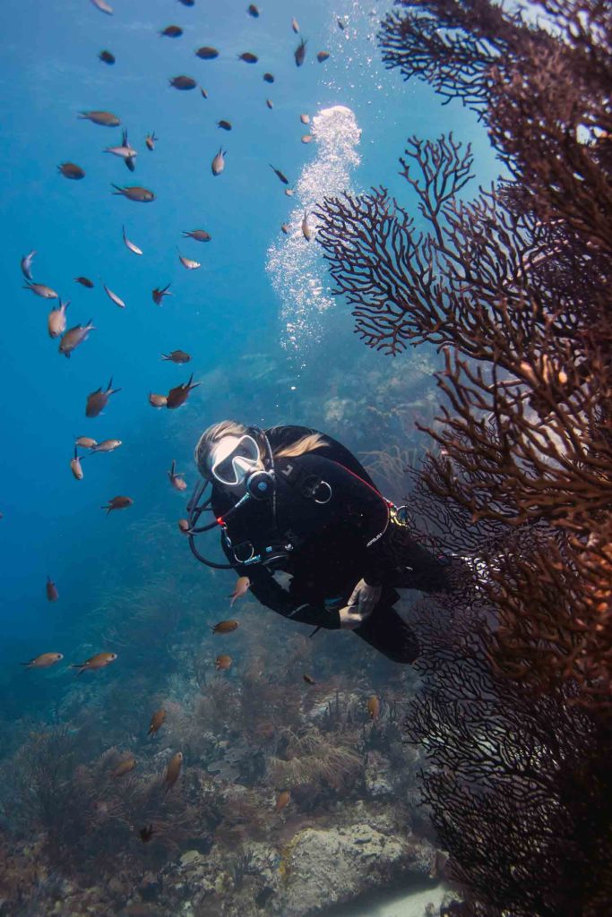 Catherine diving in Grenada