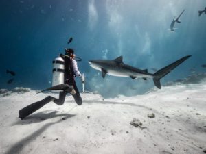 Diver with tiger shark in Fuvahmulah