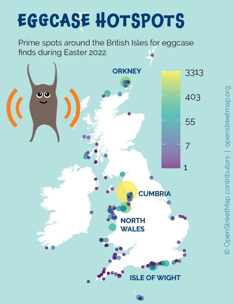 infographic showing eggcase distribution in UK
