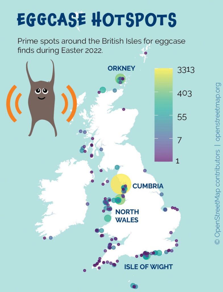 infografik som visar distribution av ägghylsor i Storbritannien