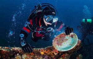 diver with plate on Majestic wreck