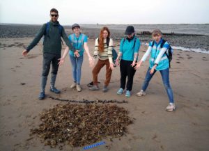 family with collected eggcases