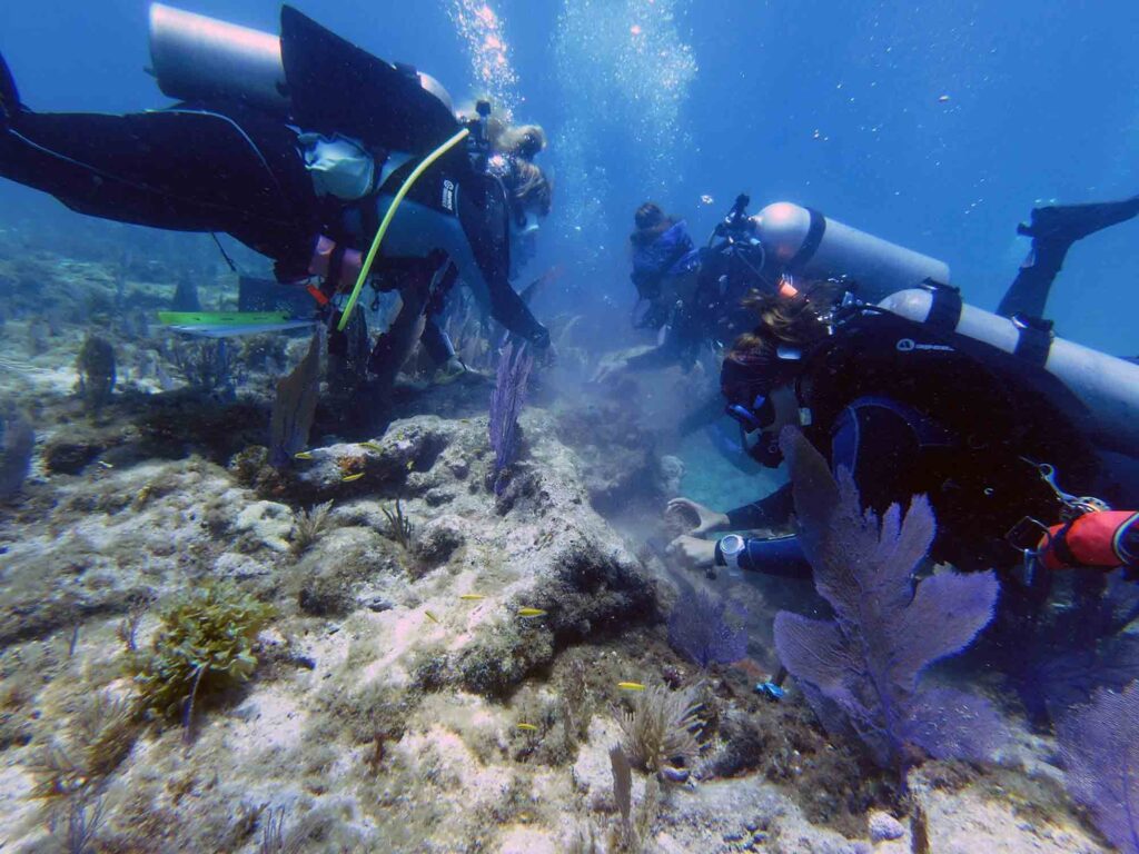 Ragasztó – búvárok Florida Keysben