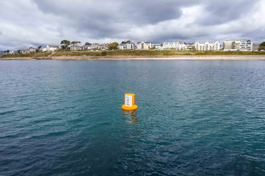 Blue Meadows seagrass buoy