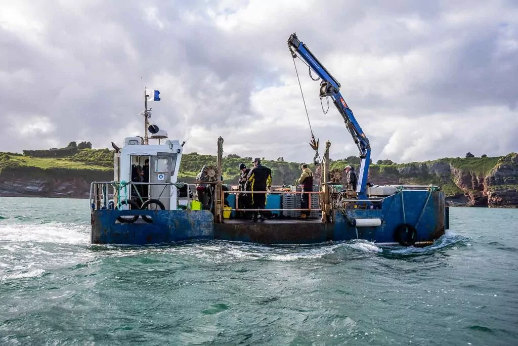 Bateau de restauration des herbiers marins de Blue Meadows