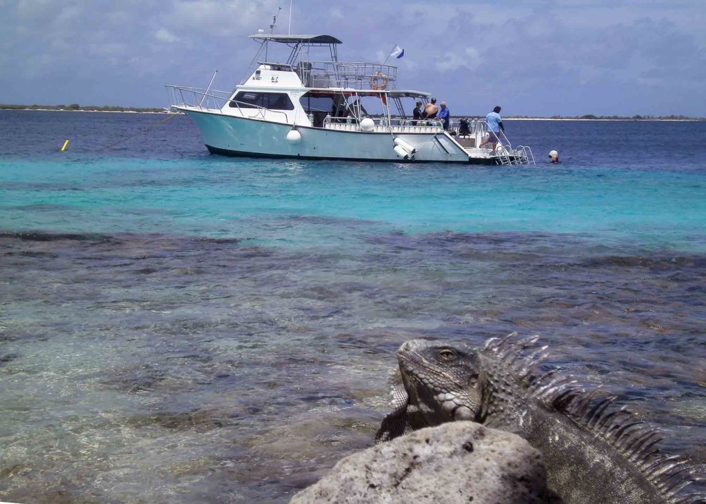 iguana and boat