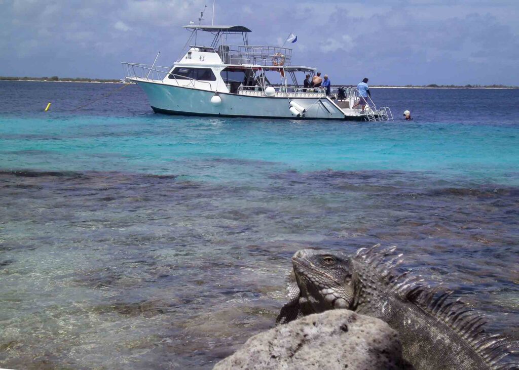 iguana e barco