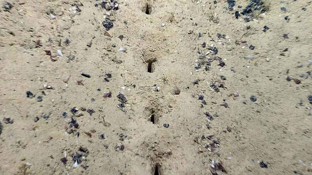 Aliens might have made these holes