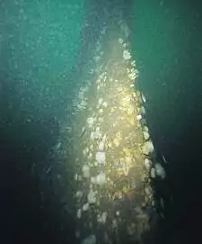 Wreck Tour 70: HMS Empress Of India 4 looking up along the tip of the bow on HMS Empress of India