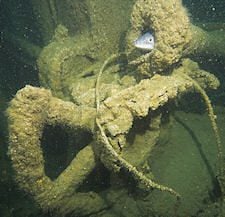 A conger eel peeks out of the hand-wheel that controlled the speed of the steam engine.